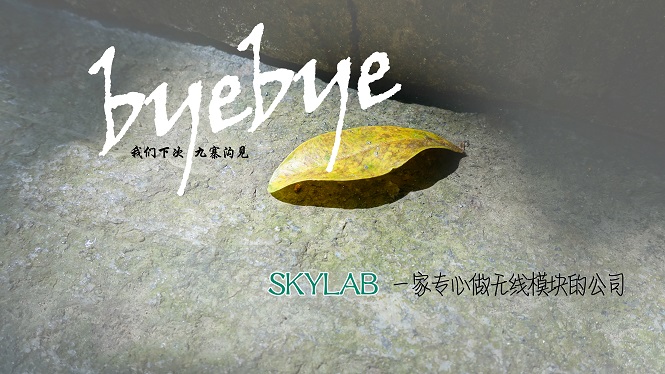 SKYLAB，一家做无线模块的公司